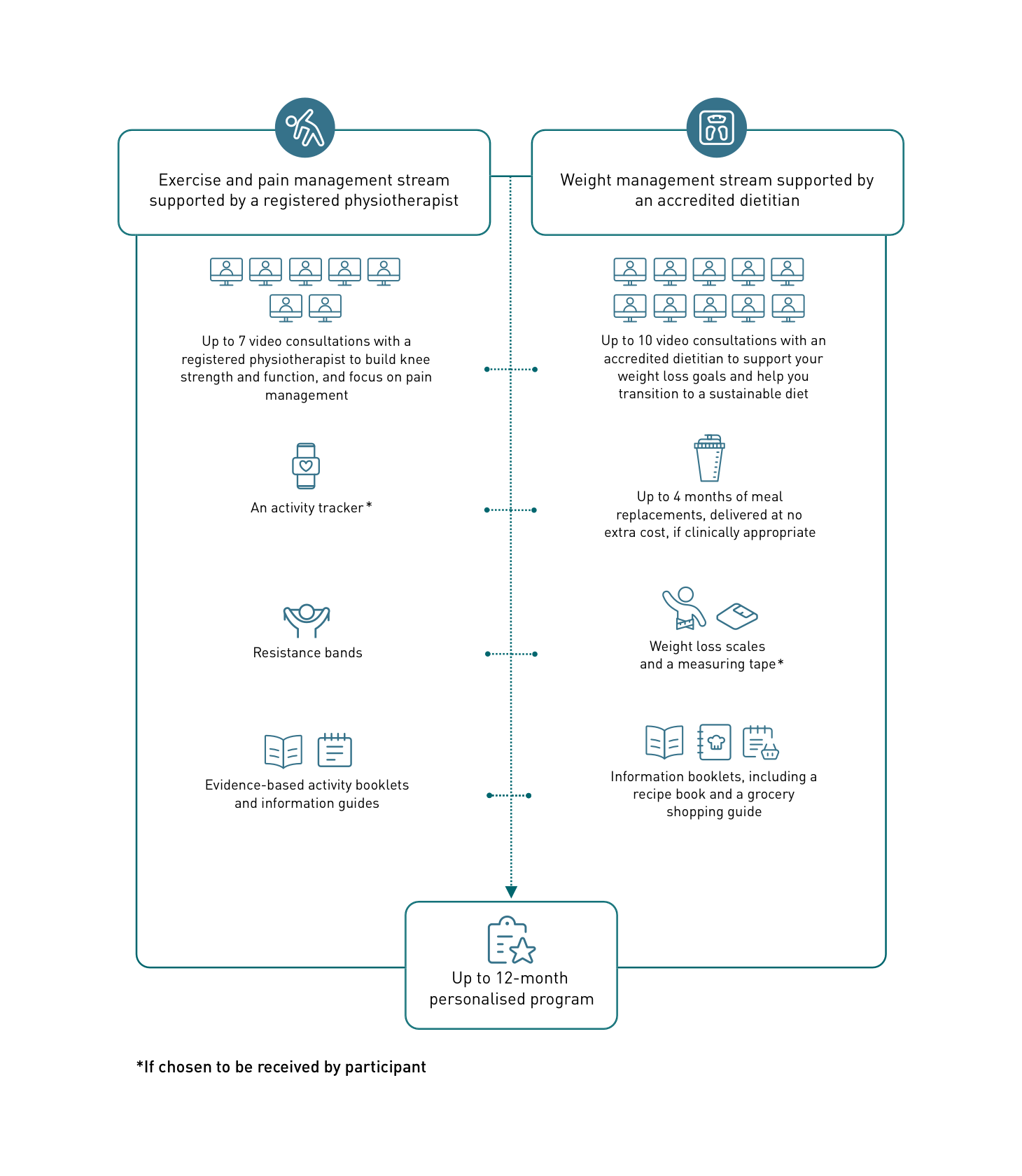 Program infographic