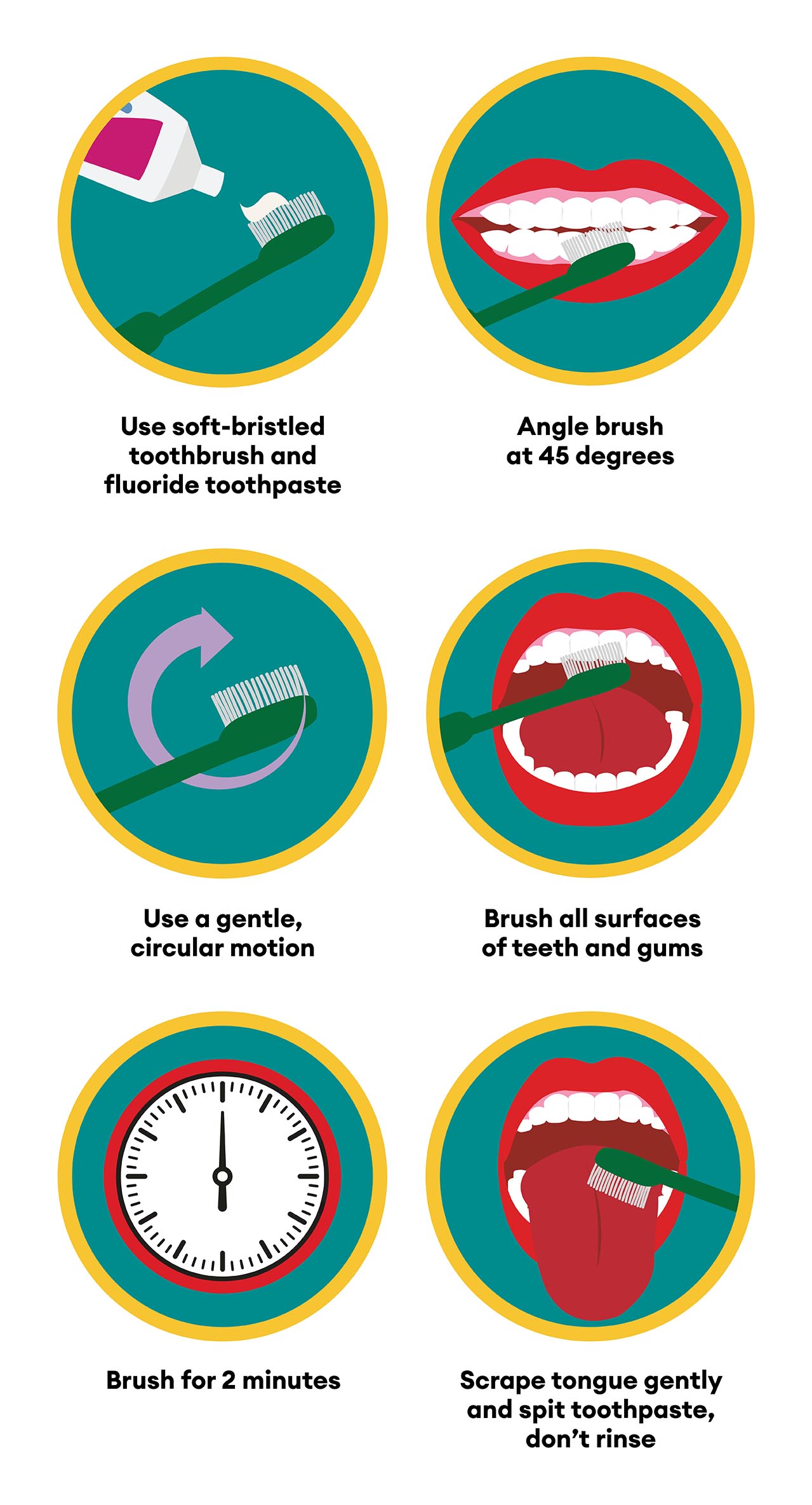 To brush your teeth properly, use a soft-bristled toothbrush and fluoride toothpaste, angle brush at 45 degrees from teeth, use a gentle circular motion, brush all surfaces of teeth and gums, brush for two minutes, scrape tongue gently and spit toothpaste, don't rinse. 