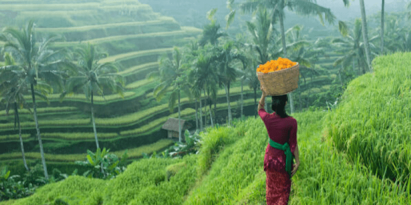 Medical only plan travel insurance