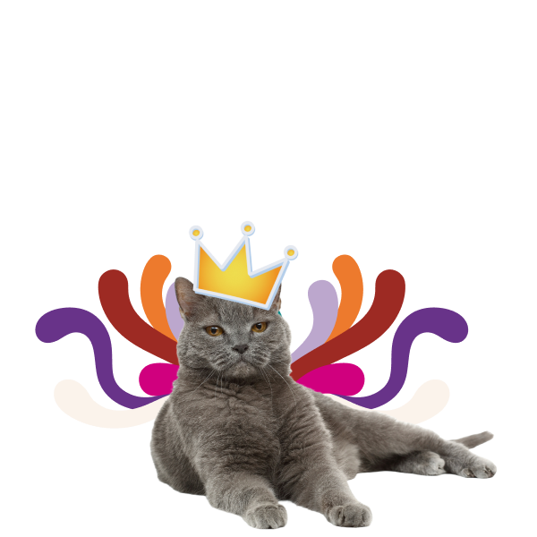 Grey cat laying down staring directly at the camera with a crown emoji on his head