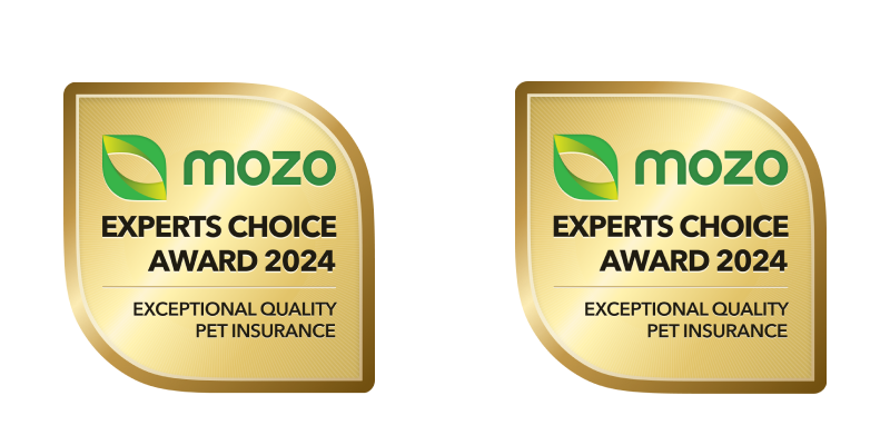 Mozo awards