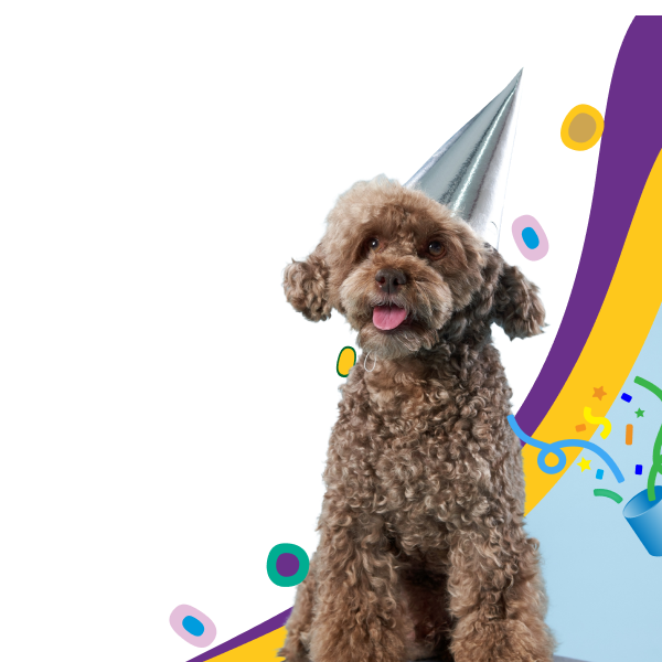 Members save 10% on pet insurance.