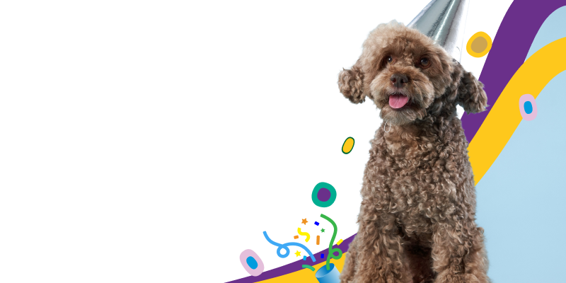 RVG2free medibank pet insurance