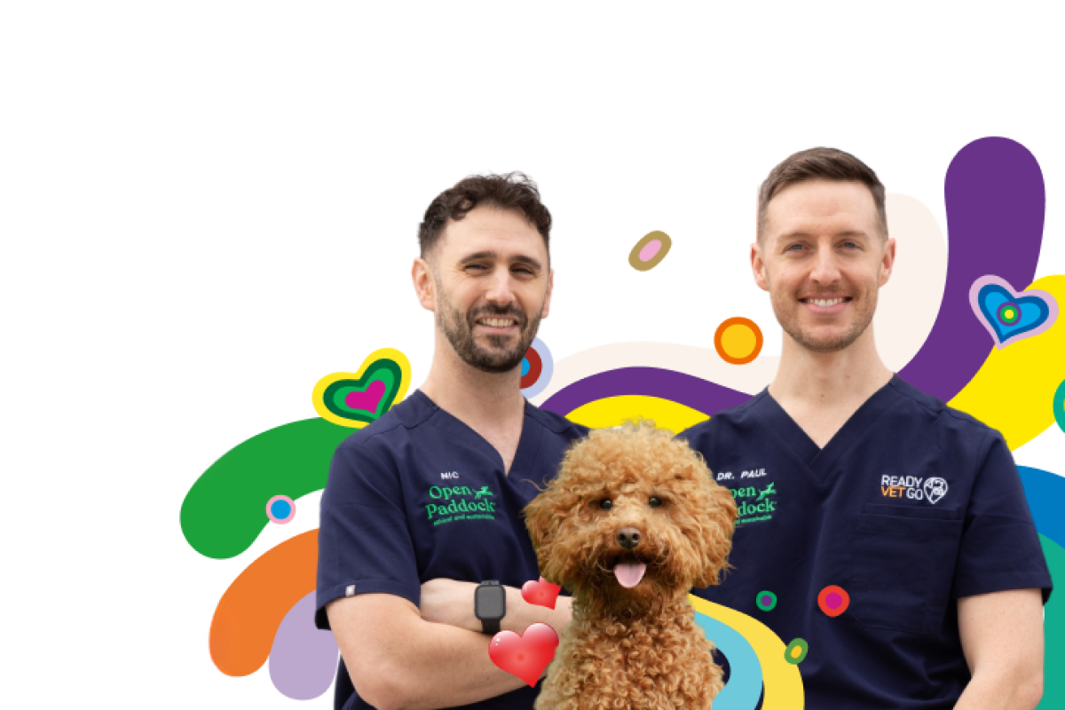 Members save 10% on pet insurance.