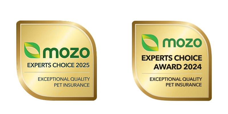Mozo awards